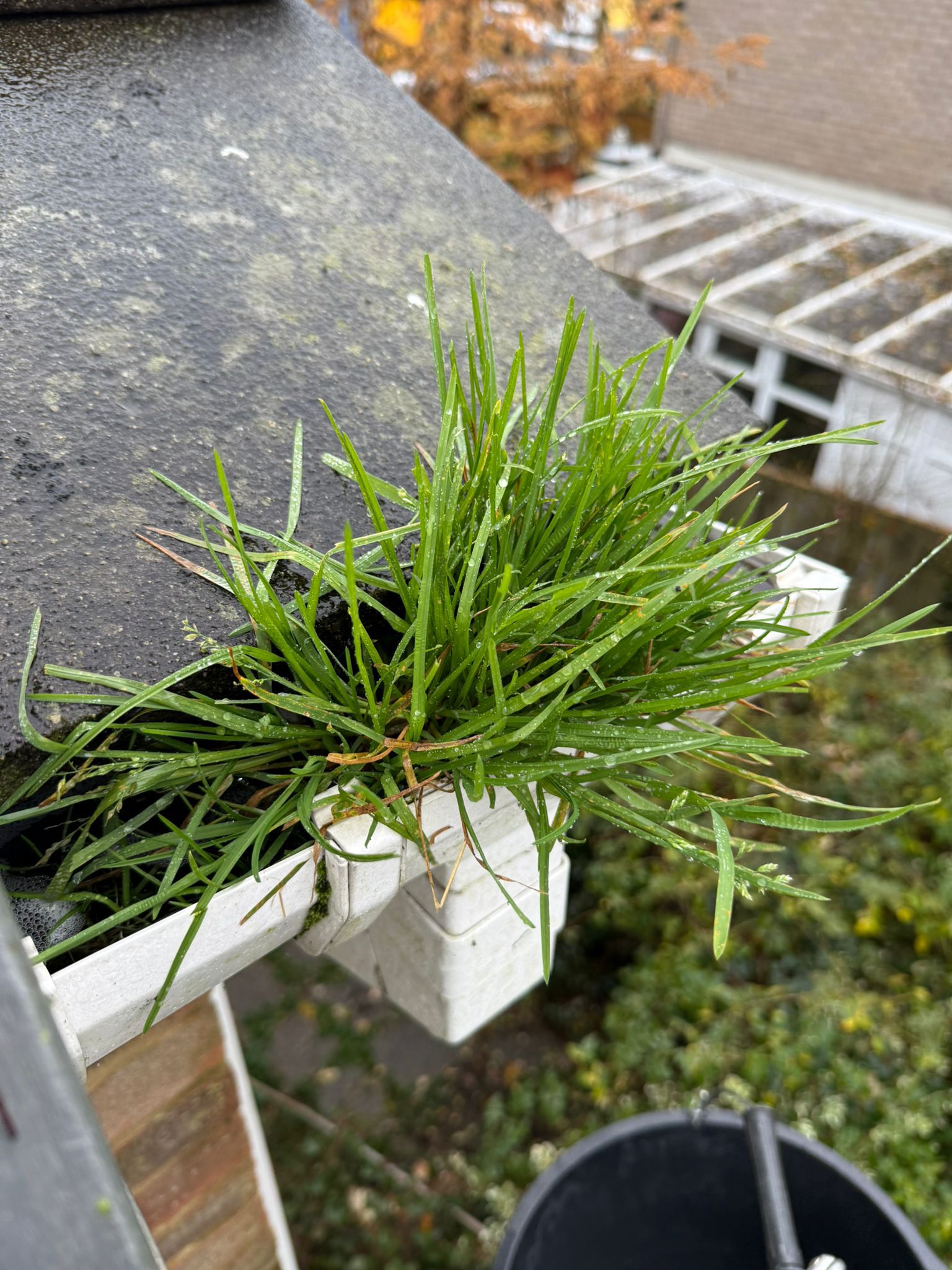 Blocked gutter downpipe in Prestwood